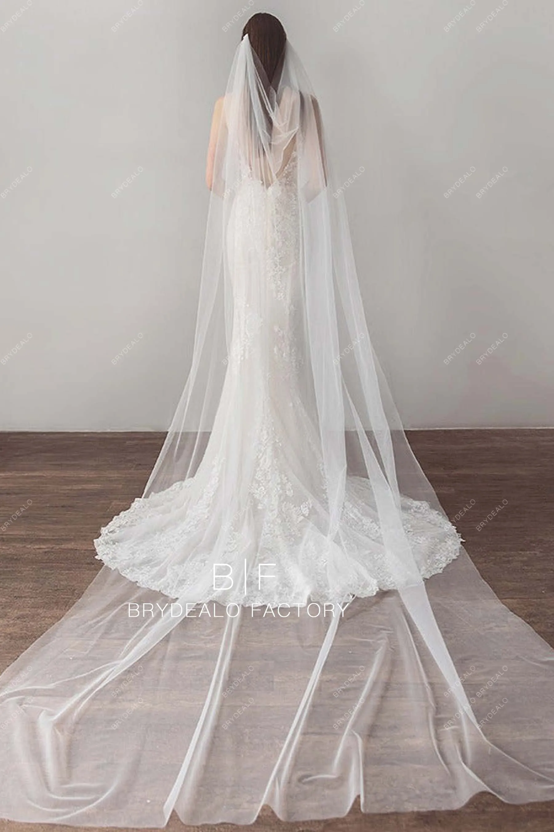 Cathedral Length Wedding Veil Single Layer Plain Tulle Veil