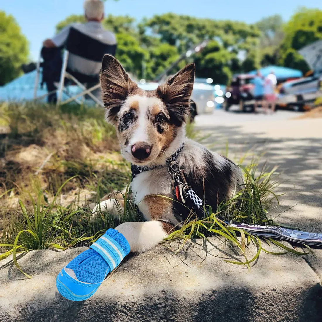 QUMY Dog Shoes for Hot Pavement 4PCS