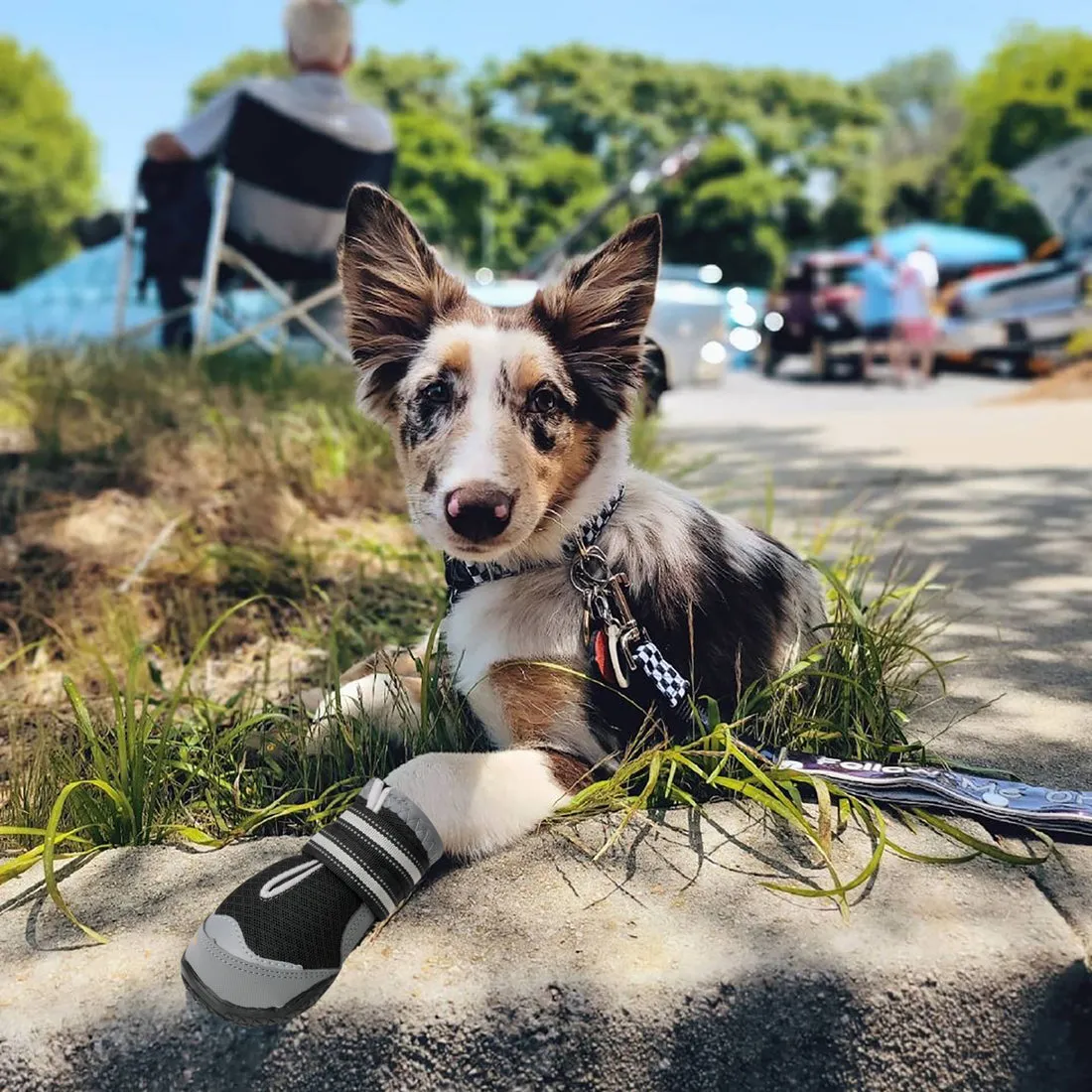 QUMY Dog Shoes for Hot Pavement 4PCS